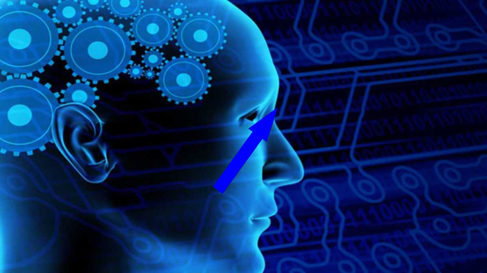 Почему наши воспоминания о логотипах обманывают нас и изменяют бренд