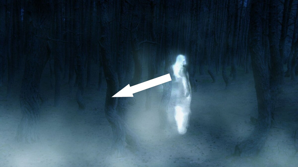 Призрачные автобусы из прошлого что скрывает тайна