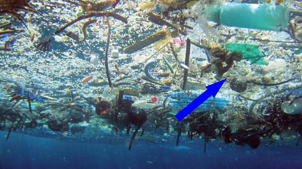 ПЛАВУЧИЕ ОСТРОВА В МОРЯХ: ТАЙНА НЕПРЕРЫВНО ДРЕЙФУЮЩИХ УЧАСТКОВ ЗЕМЛИ