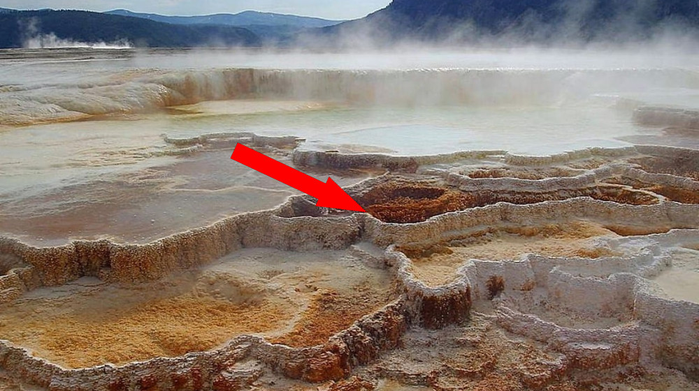 Горящие реки тропиков: загадка природных термальных потоков