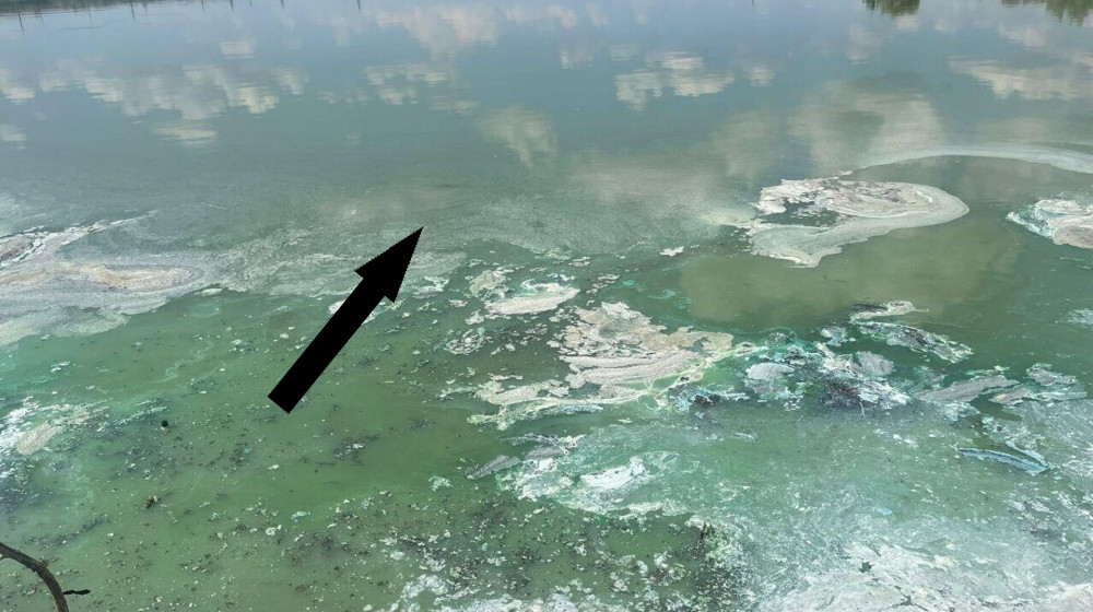 Загадка смертельных водоемов Кто и почему исчезает в озерах-убийцах