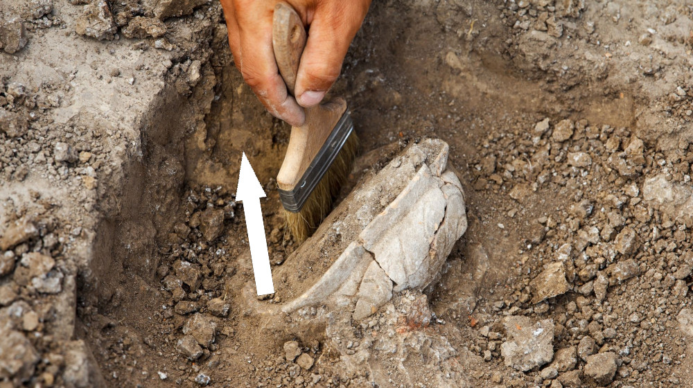 Таинственное исчезновение колонии Робайка раскрыто или очередной миф? Археологи делают сенсационные открытия о выживших английских поселенцах