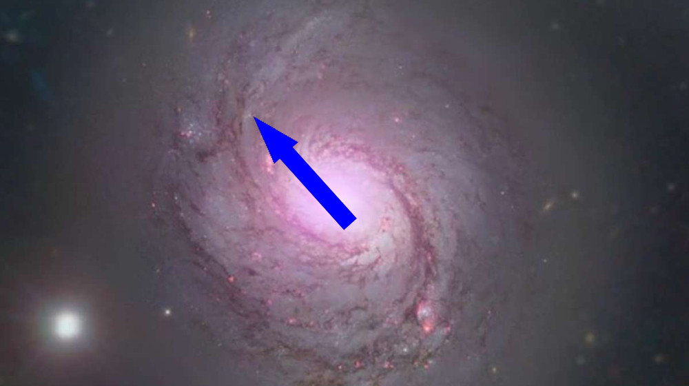 Секреты сейфертовских галактик: активные спиральные системы