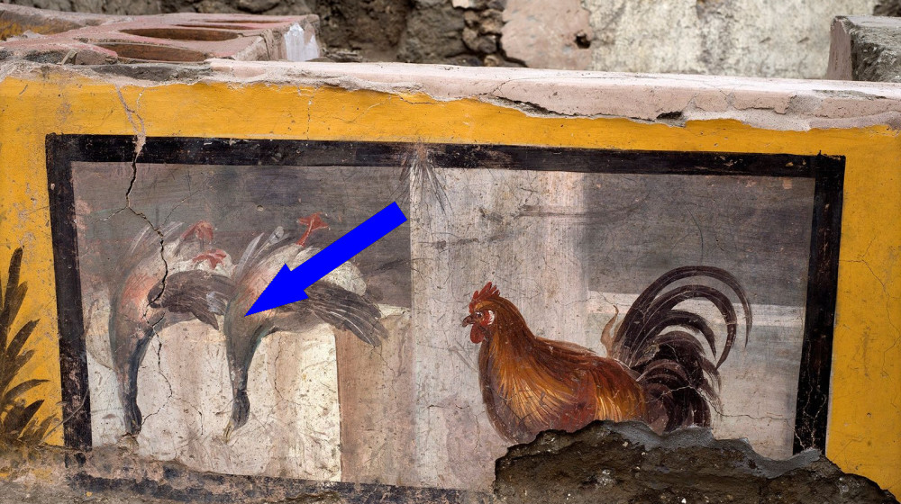 Древнеримский фастфуд на Майорке: археологические открытия раскрывают меню двух тысяч лет назад