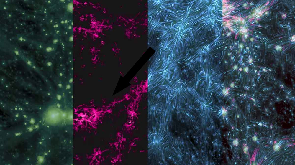 Тайны космической паутины: загадка пересечений нитей высокой плотности