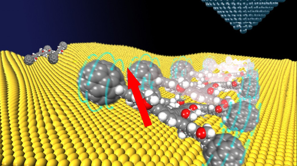 Секреты анизотропной геометрии: направленно зависимая кривизна