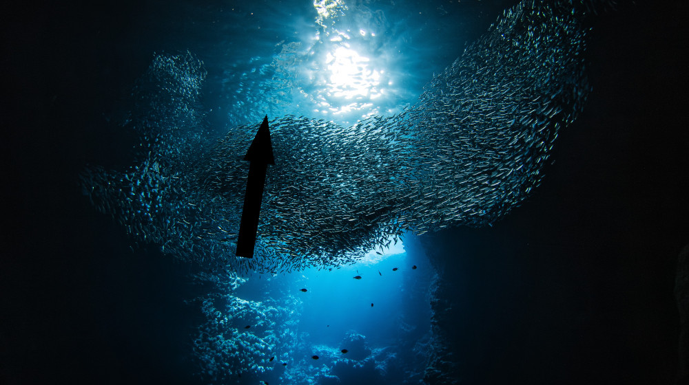 Океаны уже взрывают стеклянные часы опасности