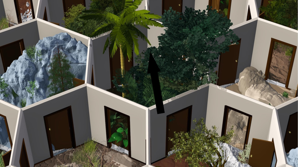  'Huge surprise' reveals how some humans left Africa 50,000 years ago 