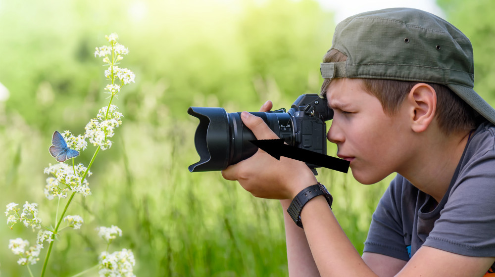  Best macro lenses 2025: Get close to nature with incredible detail 