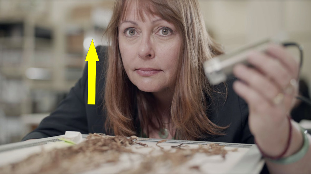 Расшифровка загадочных нитей Инков раскрывает прошлые засухи и наводнения