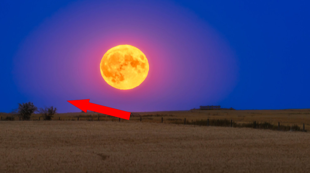 Блуждающая луна 2025: как заметить самую дальнюю полную Луну от Солнца в году