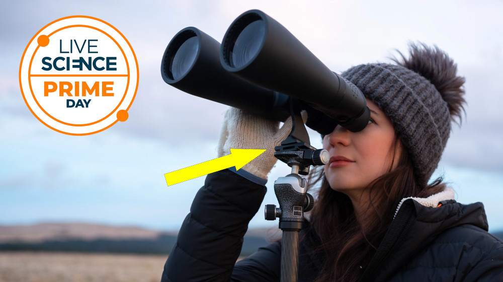 Откровения о БИНОКЛЯРНЫХ сделках на Prime Day: что важно знать