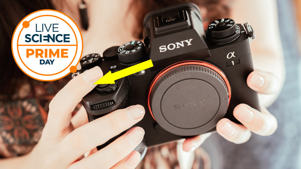 Успей купить Sony A1 со скидкой свыше 1400 рублей, осталось всего шесть штук!