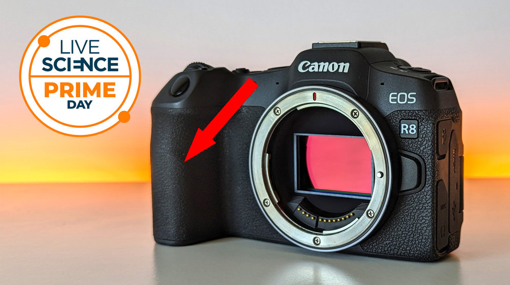 Последний шанс купить Canon EOS R8 по самой низкой цене во время персейдов на Walmart — идеально для позднего лета и дикой природы