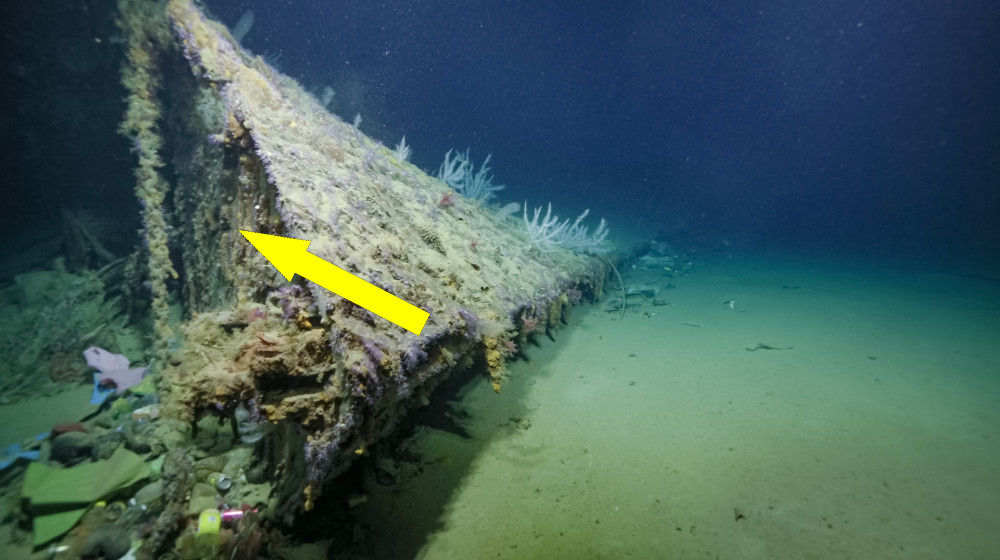 Загадка затонувшего крейсера USS Нью Орлеанс раскрыта: найден отрезанный нос боевого корабля США