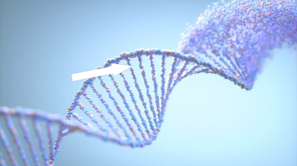 Эпигенетическая память объясняет семейную склонность к СПКЯ