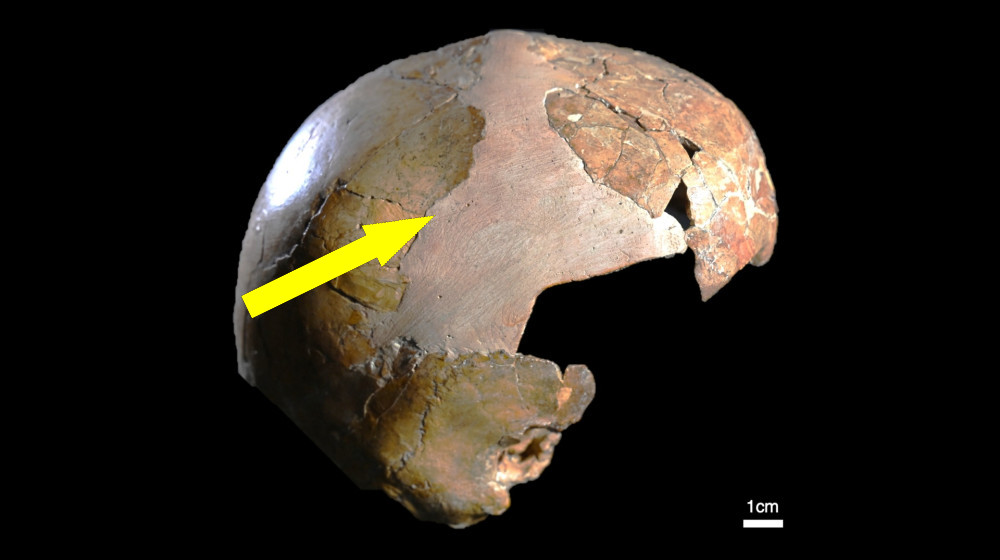 140,000-year-old child's skull may have been part modern human, part Neanderthal — but not everyone is convinced 