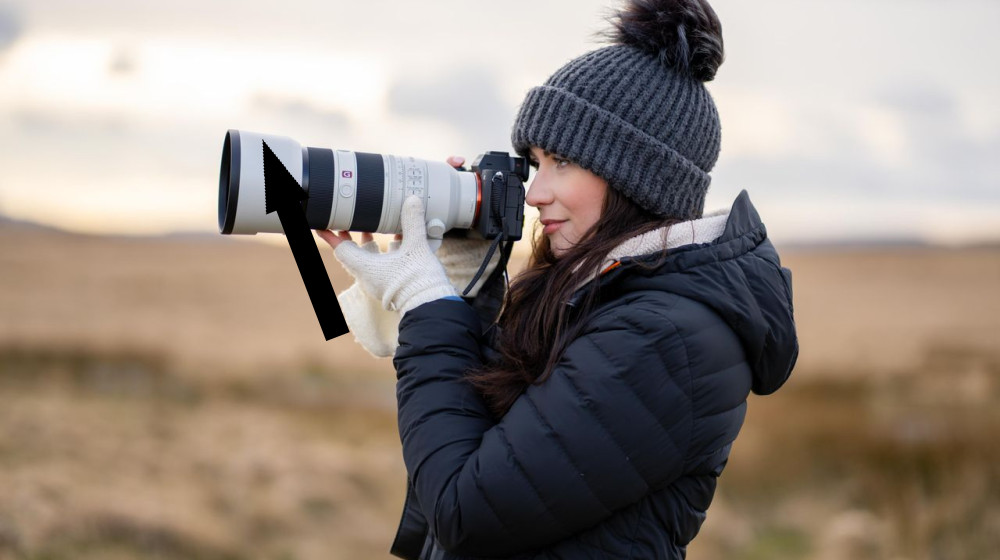  Best lenses for wildlife photography 2025 — crisp, detailed wildlife shots 