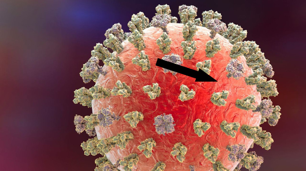 Новые ограничения на исследование вирусов вызывают опасения ученых — почему гейн-функциональные эксперименты так важны для прогресса