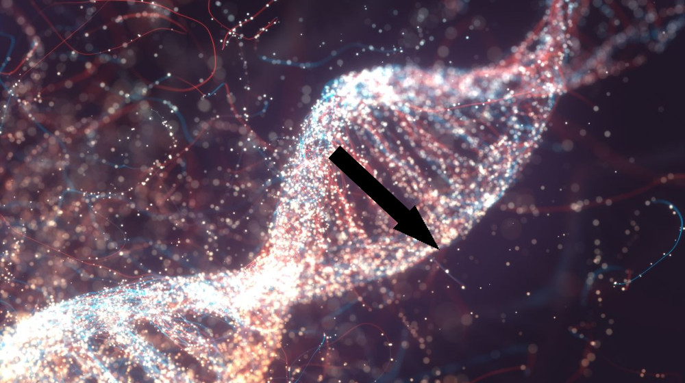  Ancient viruses embedded in our DNA help switch genes on and off, study finds 