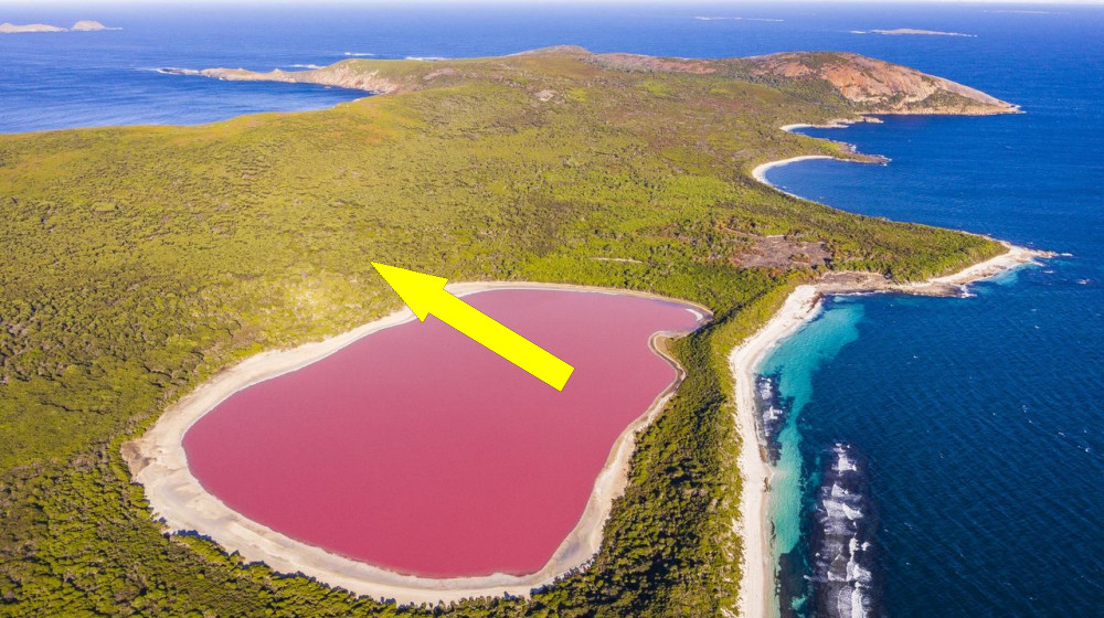  Australia's pink lakes: The remnants of ancient rivers now teeming with microbes that make rosy pigments 