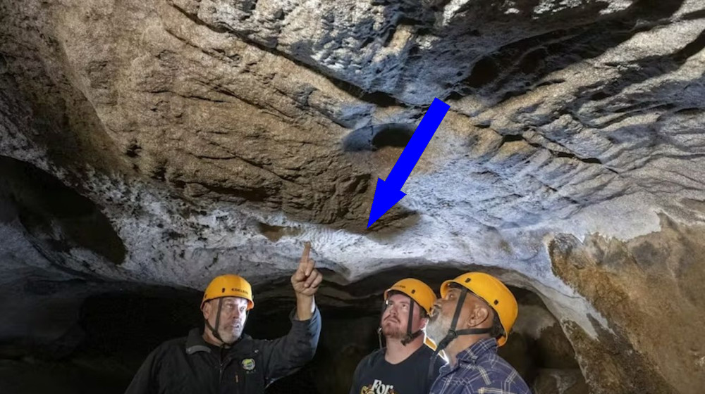   'Such caves weren't used for ordinary living': Rare finger grooves from ancient peoples found in glittering Australian cave 