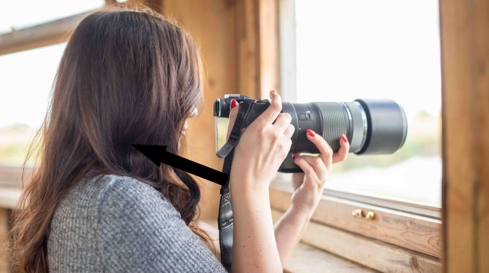  Best wildlife lenses under $1,000 — ideal for safari or even birds in the park 