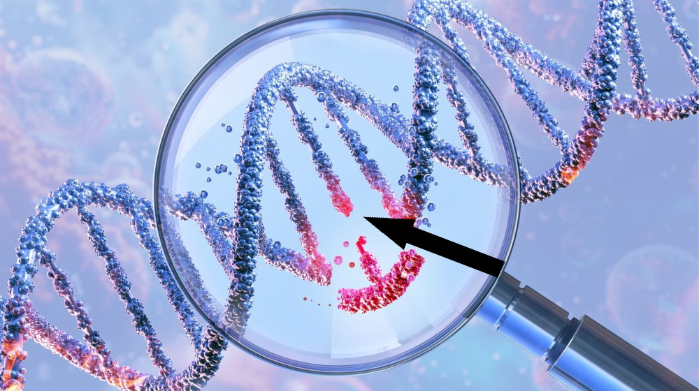 Уникальный прецедент терапии диабета: пациент начал сам вырабатывать инсулин благодаря генной инженерии