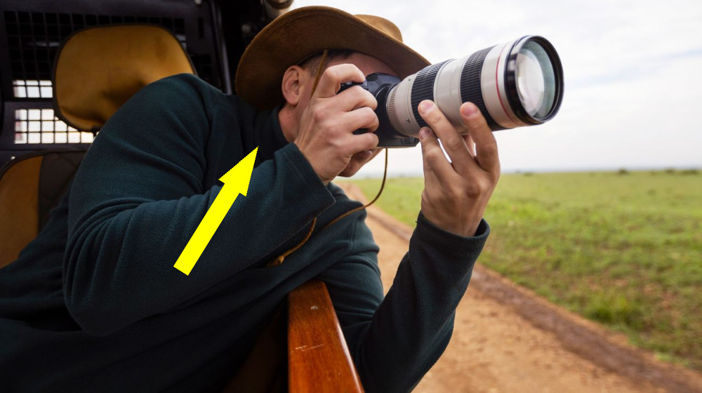  5 common mistakes beginner wildlife photographers make — and how to avoid them 