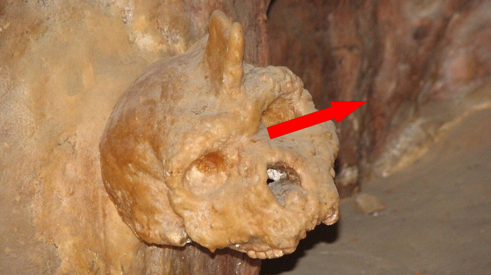 Загадочный череп возрастом в 300 тысяч лет поставил под сомнение представления о происхождении человека