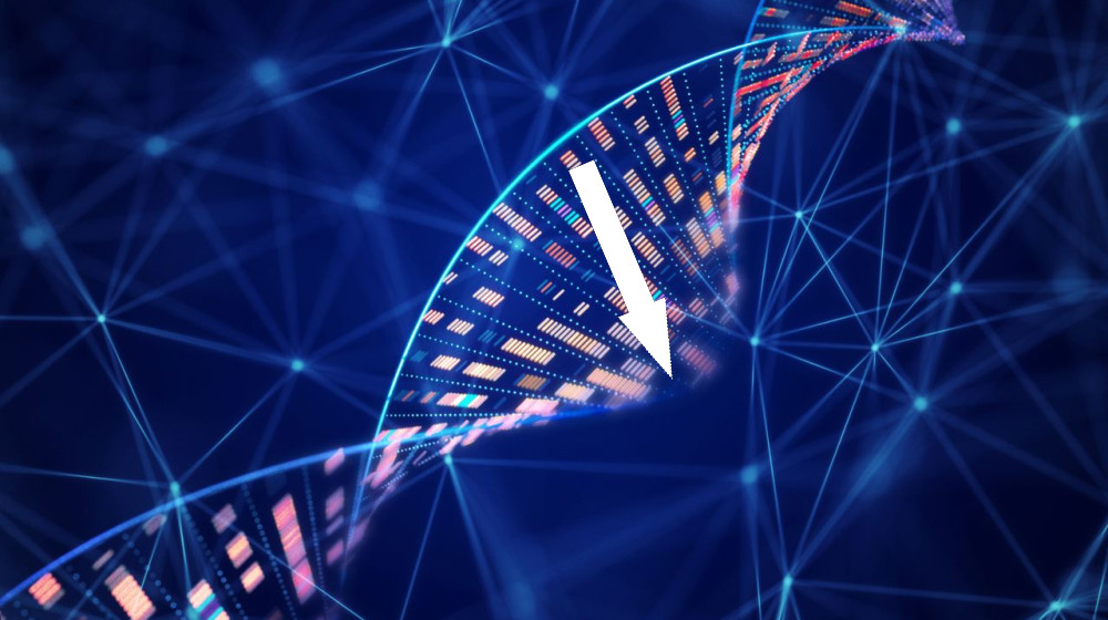  Scientists uncover 'coils' in DNA that form under pressure 