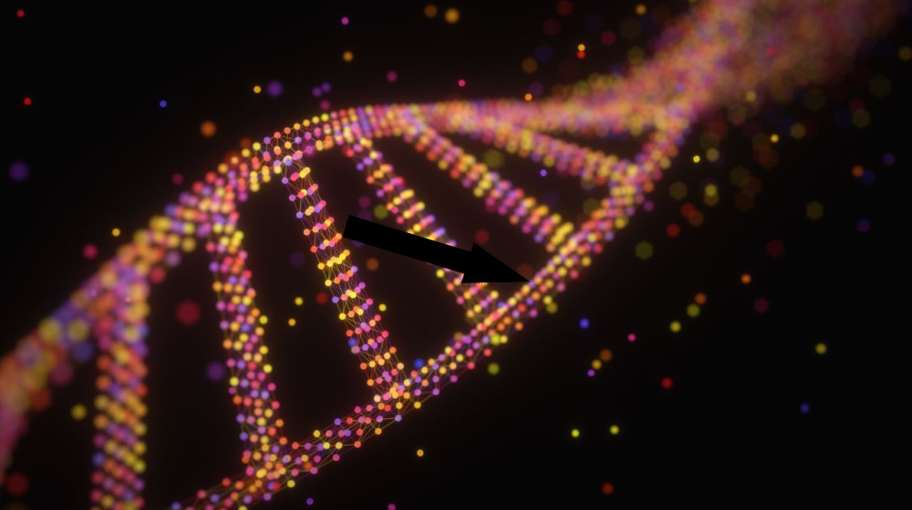 Как работают часы старения и что они рассказывают о вашем теле