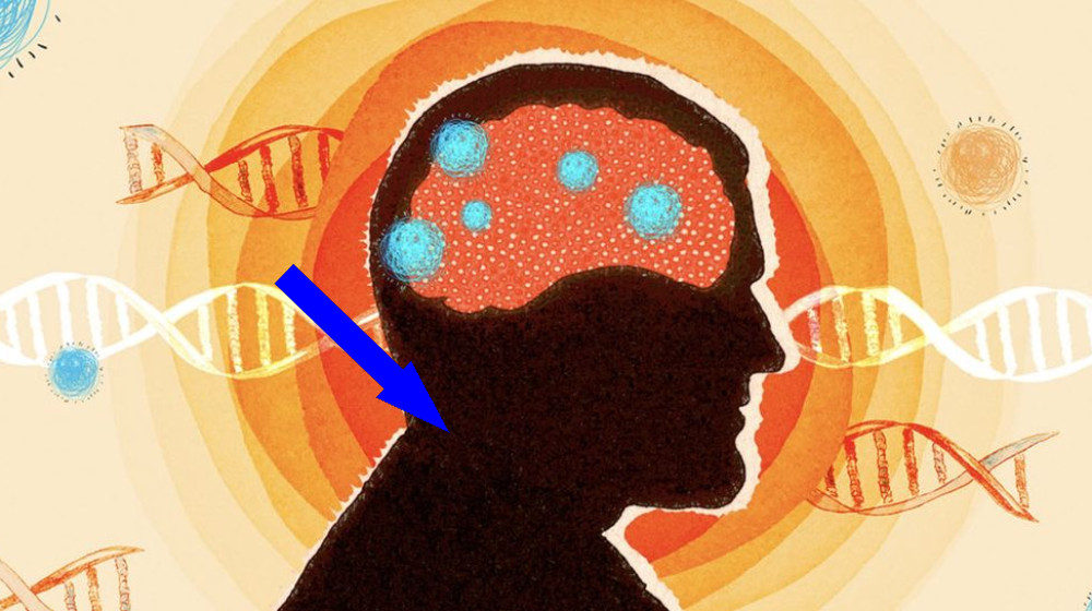 Таинственные осколки древних вирусов заполонили наш геном и могут разрушать наш мозг
