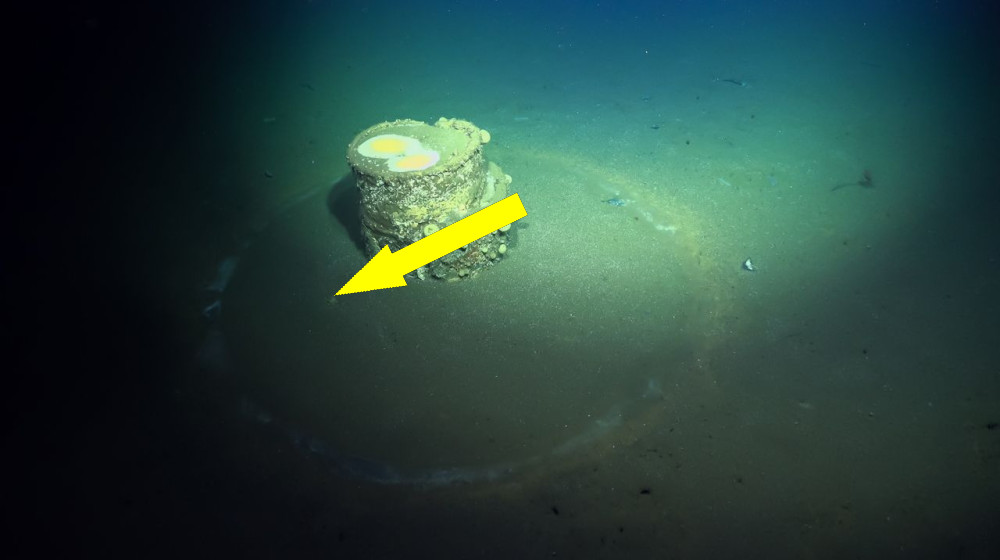  Scientists are finally learning what's inside mysterious 'halo' barrels submerged off Los Angeles  