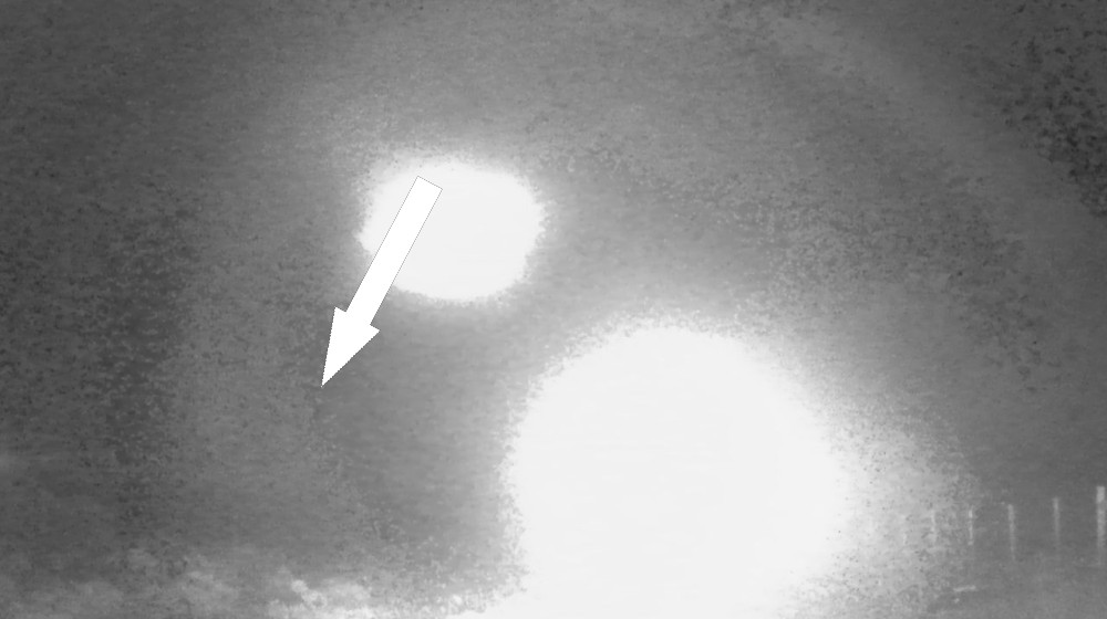  Camera trap in Chile detects strange lights blazing through the wilderness. Researchers are scrambling to explain them. 