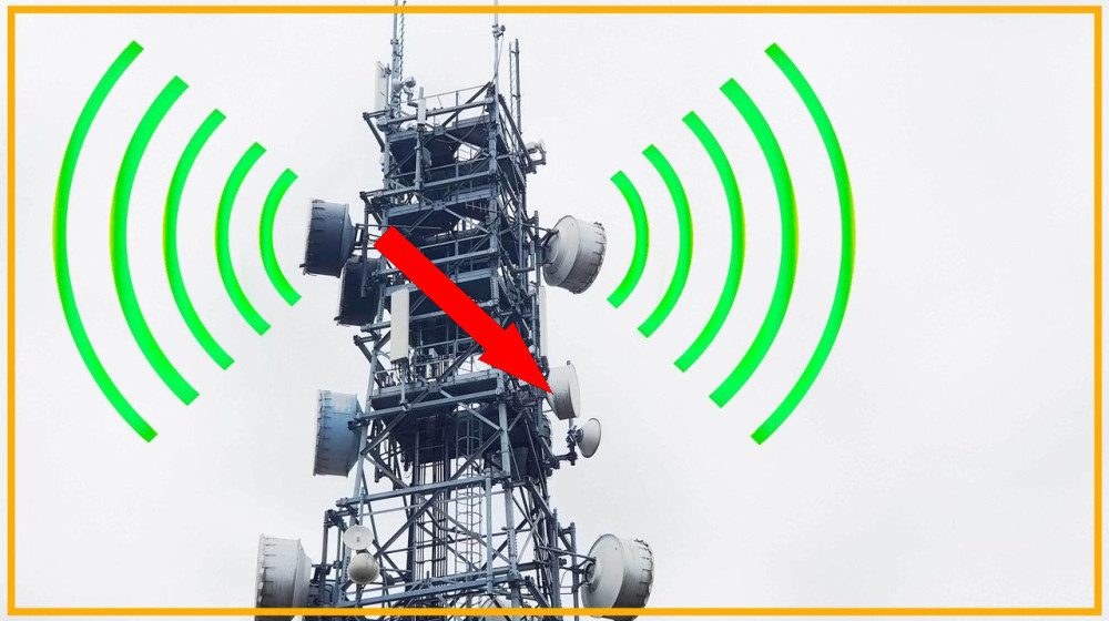 Когда люди собираются вместе, возникают странные поведения