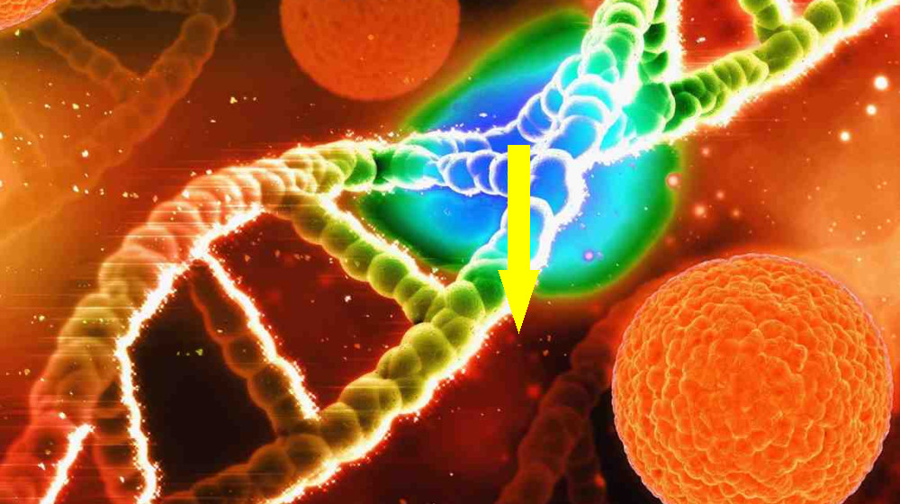  Endurance athletes that carry Neanderthal genes could be held back from reaching their peak 