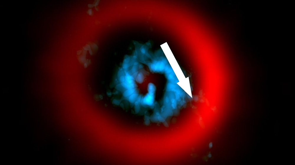 Учёные впервые в реальном времени наблюдают за рождением планеты