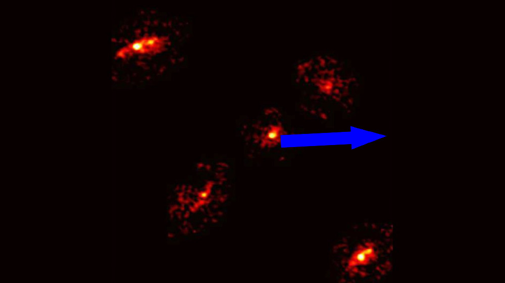  'We thought it was a problem with the instrument': Scientists shocked by rare 'Einstein cross' with a surprise in the center 