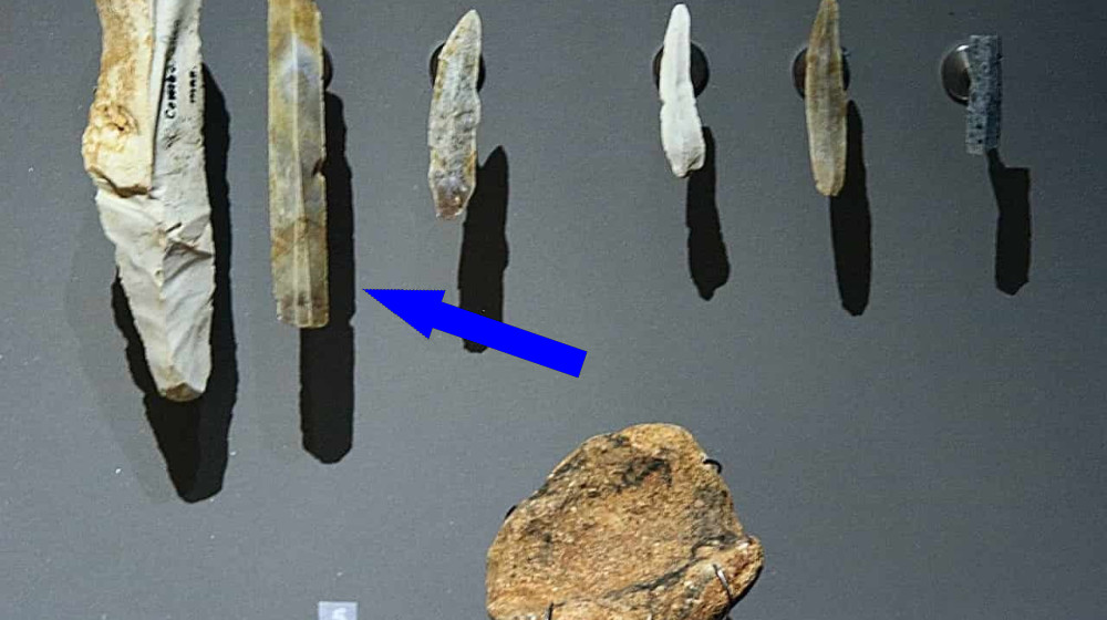  2.6 million-year-old stone tools reveal ancient human relatives were 'forward planning' 600,000 years earlier than thought 