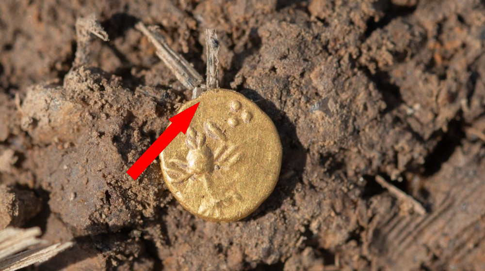 Неожиданный клад: сотни древних золотых и серебряных монет из возможного кельтского рынка в Чехии
