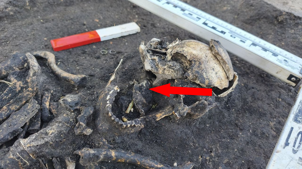  1,000-year-old burials of 'first Christians' in Poland discovered near medieval settlement  
