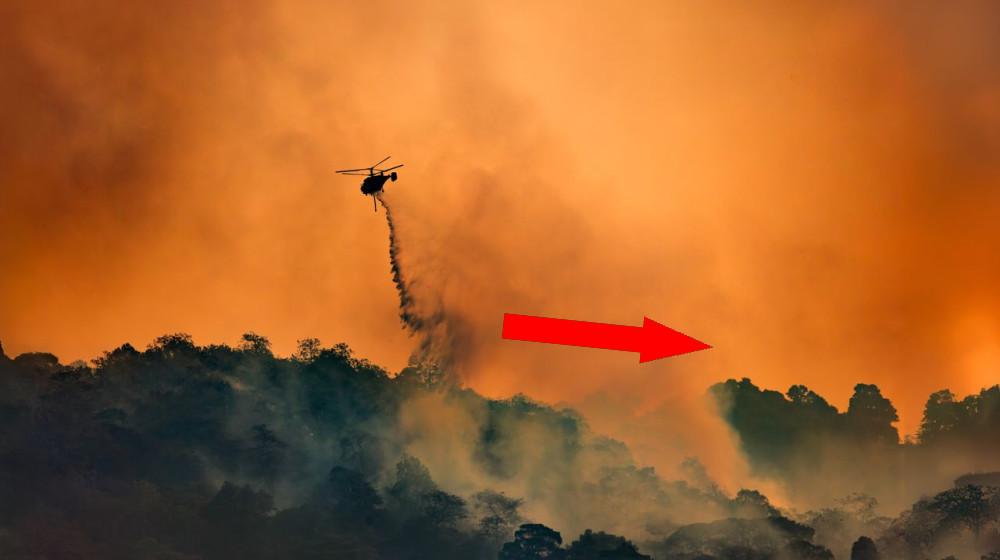 КРИЗИС СО2: ВЛИЯНИЕ НА ГЛОБАЛЬНОЕ ПОГОДУ И БЛИЖАЙШИЕ ПОСЛЕДСТВИЯ