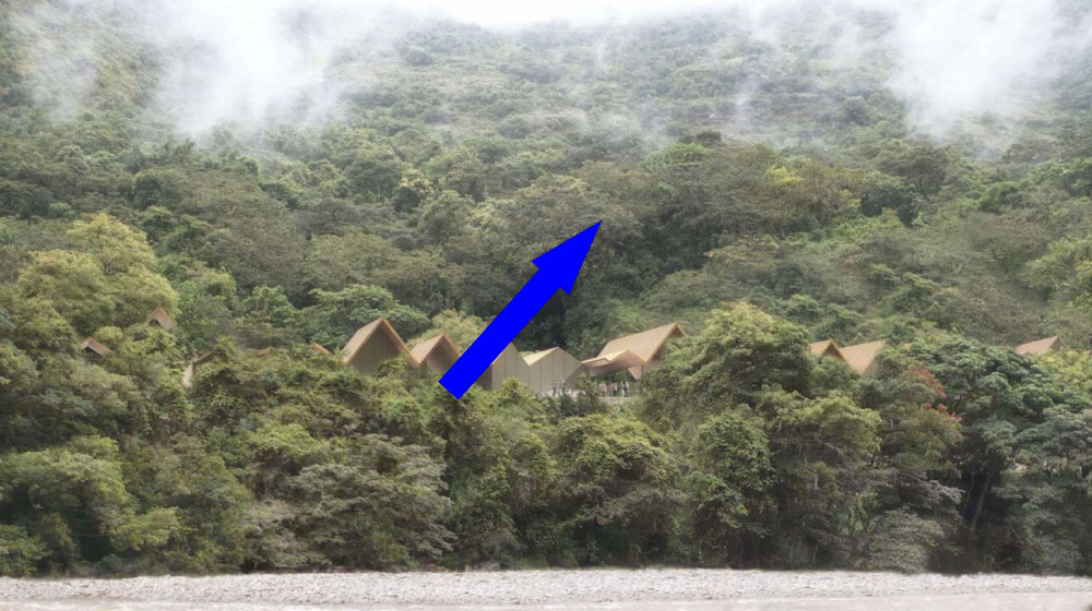  Mystery creature found in 'forbidden cloud forest' of Peru is new species of marsupial 