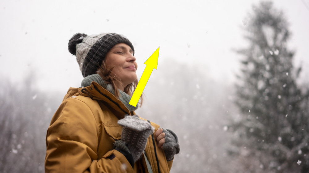 Как сделать прогулки максимально полезными — рекомендации ученых