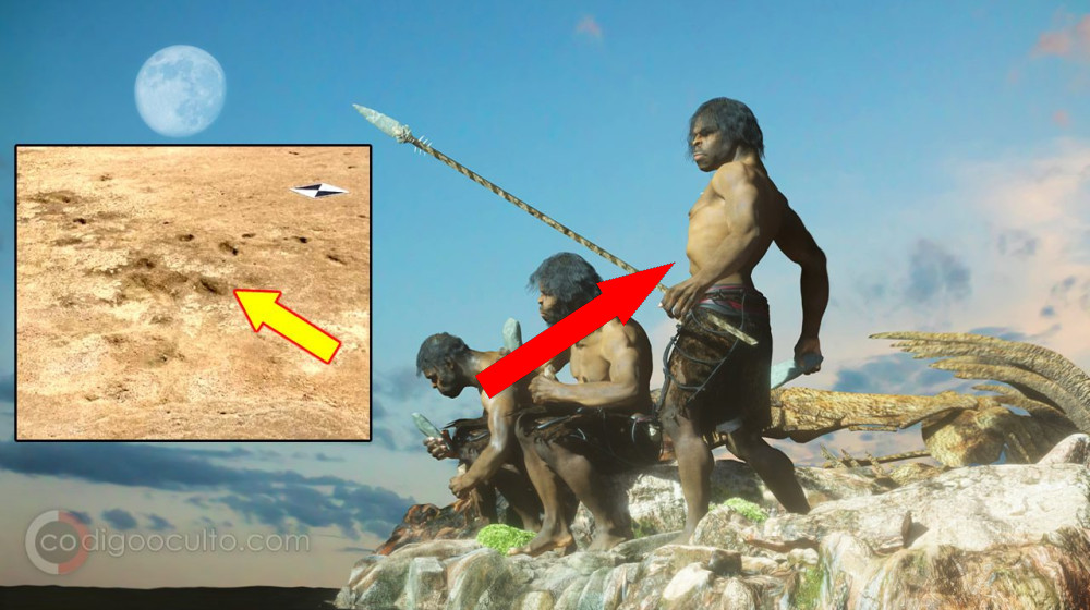 ДНК Неандертальцев может опровергнуть 65 000-летнюю дату заселения Австралии