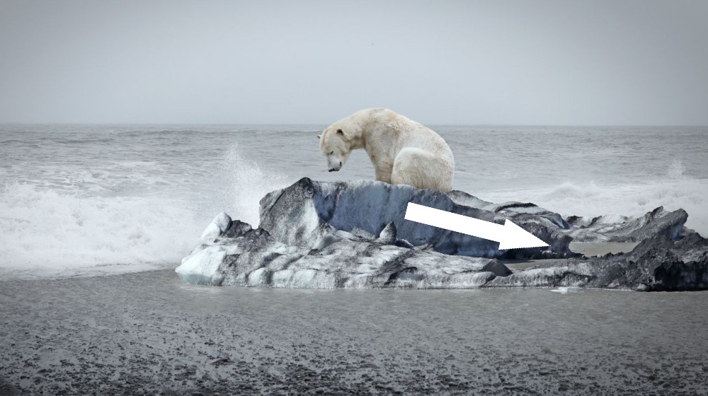  Global warming is forcing Earth's systems toward 'doom loop' tipping points. Can we avoid them? 