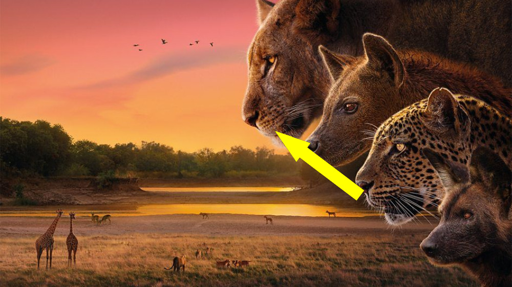 Увидеть неизведанное: как смотреть новый сериал "КрÓнгДом" с Дэвидом Аттенборо