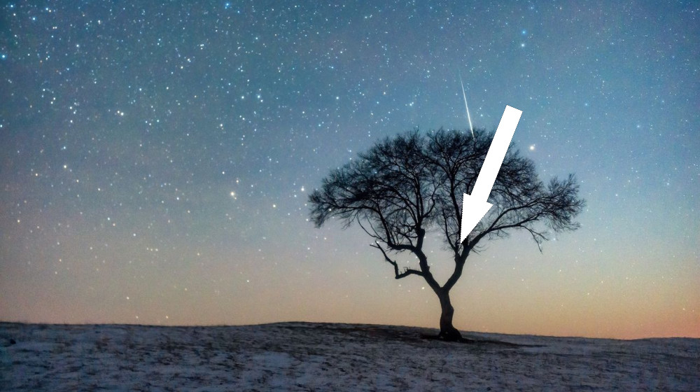 Леониды обещают удивительный метеоритный спектакль — не пропустите лучшее за годы зрелище