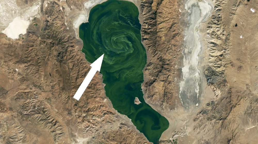  Extreme bloom of toxic algae swirls in Nevada's 'Pyramid Lake' — Earth from space 